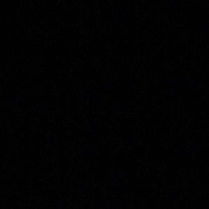 Meet your Posher, Pam